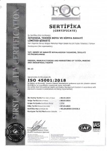 ISO 45001-2024